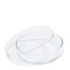 Petri Dishes x 10