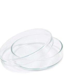 Petri Dishes x 10