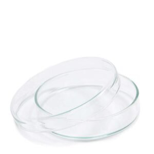 Petri Dishes x 10